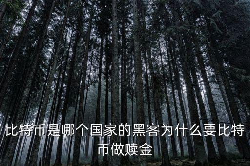 比特幣是哪個(gè)國家的黑客為什么要比特幣做贖金