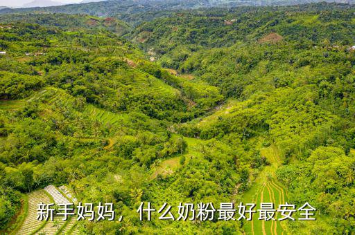 新手媽媽，什么奶粉最好最安全