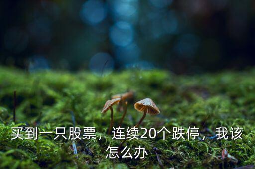 買(mǎi)到一只股票，連續(xù)20個(gè)跌停，我該怎么辦