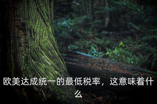 歐美達成統(tǒng)一的最低稅率，這意味著什么