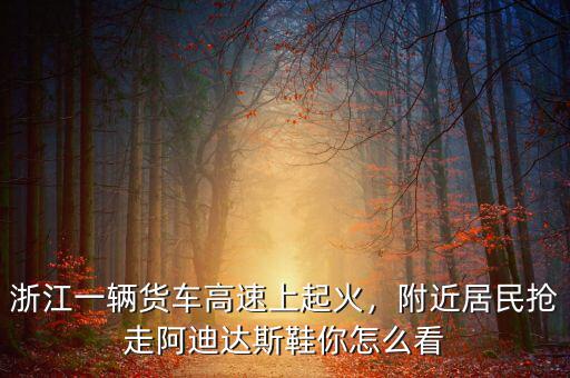 浙江一輛貨車高速上起火，附近居民搶走阿迪達斯鞋你怎么看