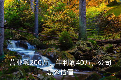 營業(yè)額200萬，年利潤40萬，公司怎么估值