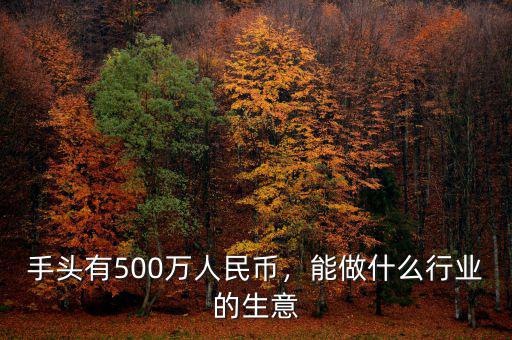 手頭有500萬人民幣，能做什么行業(yè)的生意