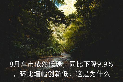 8月車(chē)市依然低迷，同比下降9.9%，環(huán)比增幅創(chuàng)新低，這是為什么