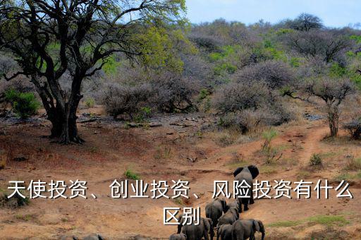 天使投資、創(chuàng)業(yè)投資、風(fēng)險(xiǎn)投資有什么區(qū)別
