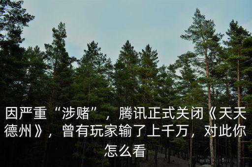 因嚴(yán)重“涉賭”，騰訊正式關(guān)閉《天天德州》，曾有玩家輸了上千萬，對此你怎么看