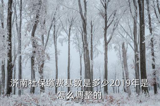 濟南社?；鶖?shù)怎么算,2019年是怎么調(diào)整的