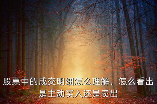 股票中的成交明細(xì)怎么理解，怎么看出是主動買入還是賣出