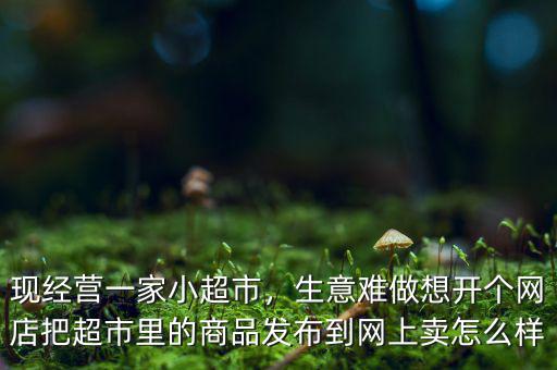 現(xiàn)經(jīng)營一家小超市，生意難做想開個(gè)網(wǎng)店把超市里的商品發(fā)布到網(wǎng)上賣怎么樣