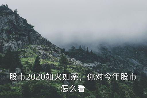 股市2020如火如荼，你對今年股市怎么看
