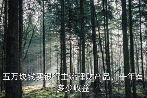 五萬塊錢買銀行主流理財產(chǎn)品，一年有多少收益
