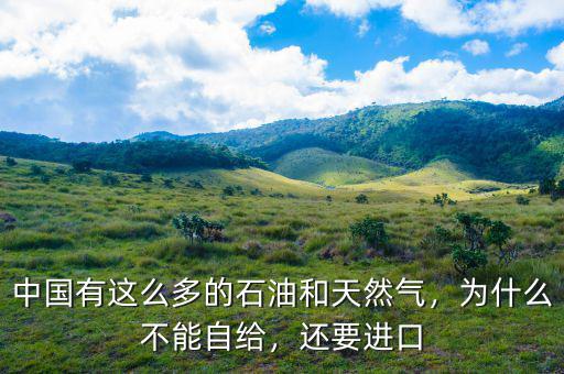 中國有這么多的石油和天然氣，為什么不能自給，還要進口