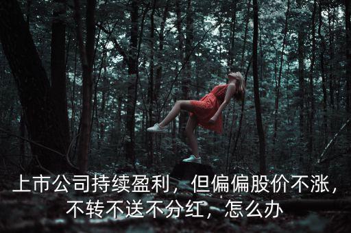 上市公司持續(xù)盈利，但偏偏股價(jià)不漲，不轉(zhuǎn)不送不分紅，怎么辦