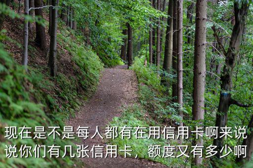 現(xiàn)在是不是每人都有在用信用卡啊來說說你們有幾張信用卡，額度又有多少啊