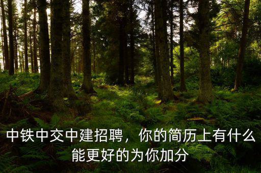 中鐵中交中建招聘，你的簡歷上有什么能更好的為你加分