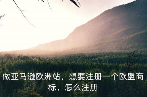 做亞馬遜歐洲站，想要注冊一個歐盟商標(biāo)，怎么注冊