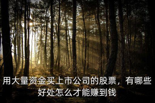 用大量資金買上市公司的股票，有哪些好處怎么才能賺到錢