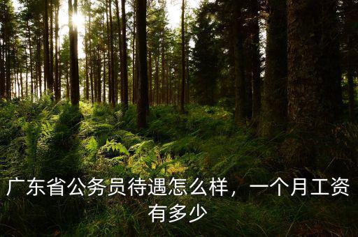 廣東省公務(wù)員待遇怎么樣，一個(gè)月工資有多少