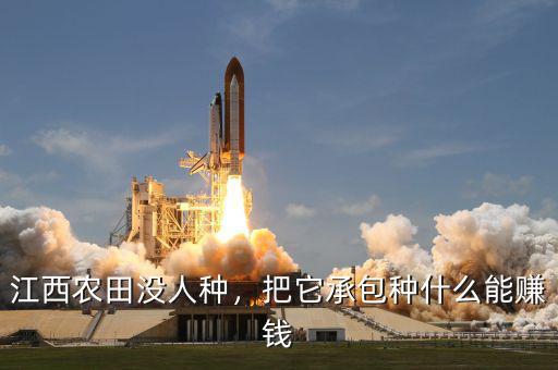 江西農(nóng)田沒人種，把它承包種什么能賺錢