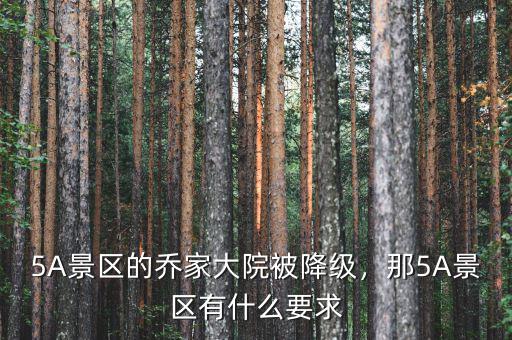 5A景區(qū)的喬家大院被降級，那5A景區(qū)有什么要求