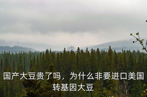 國產(chǎn)大豆貴了嗎，為什么非要進口美國轉(zhuǎn)基因大豆