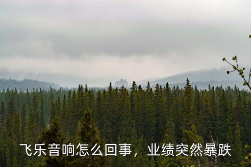 飛樂音響怎么回事，業(yè)績突然暴跌