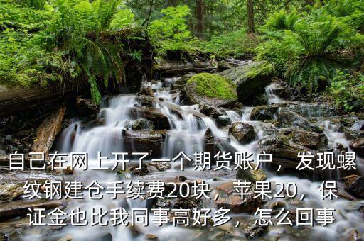 自己在網(wǎng)上開了一個期貨賬戶，發(fā)現(xiàn)螺紋鋼建倉手續(xù)費(fèi)20塊，蘋果20，保證金也比我同事高好多，怎么回事