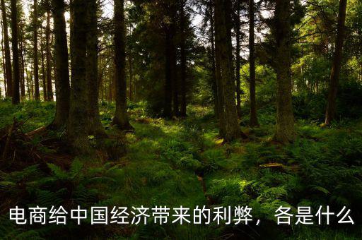 電商給中國經(jīng)濟帶來的利弊，各是什么