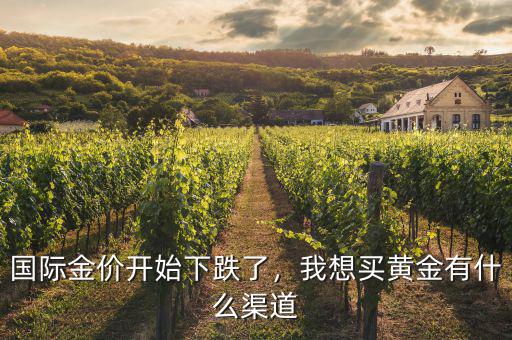 國(guó)際金價(jià)開(kāi)始下跌了，我想買(mǎi)黃金有什么渠道