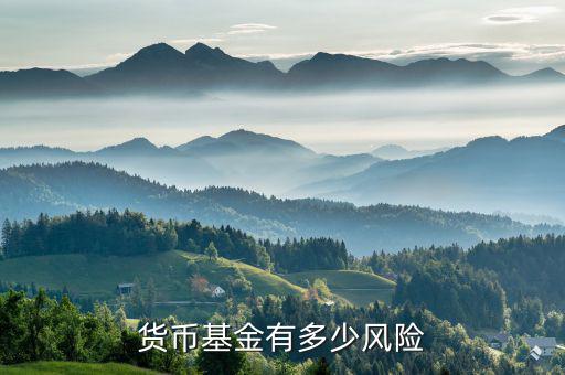 貨幣基金有多少風險