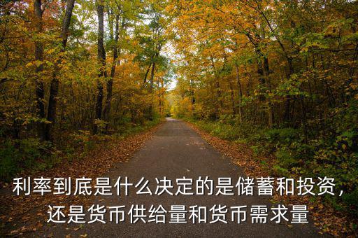 利率到底是什么決定的是儲蓄和投資，還是貨幣供給量和貨幣需求量