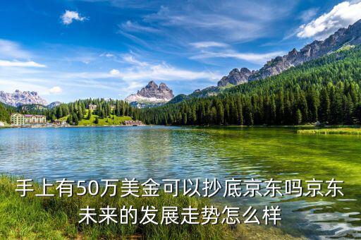 手上有50萬(wàn)美金可以抄底京東嗎京東未來(lái)的發(fā)展走勢(shì)怎么樣