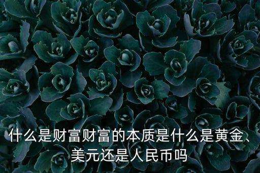 什么是財(cái)富財(cái)富的本質(zhì)是什么是黃金、美元還是人民幣嗎