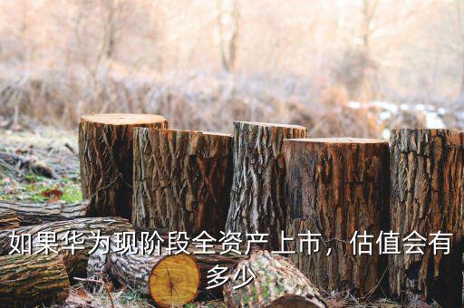 如果華為現(xiàn)階段全資產(chǎn)上市，估值會(huì)有多少