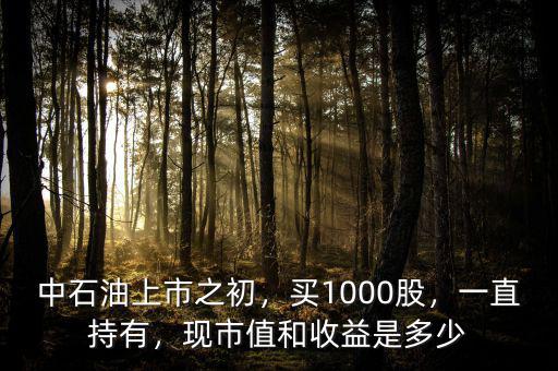 中石油上市之初，買(mǎi)1000股，一直持有，現(xiàn)市值和收益是多少