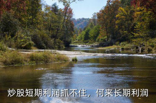 炒股短期利潤抓不住，何來長期利潤