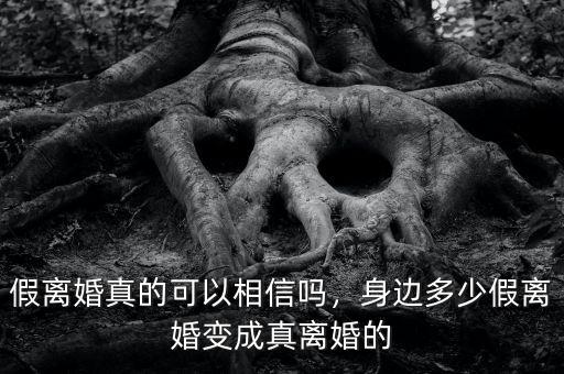 假離婚真的可以相信嗎，身邊多少假離婚變成真離婚的