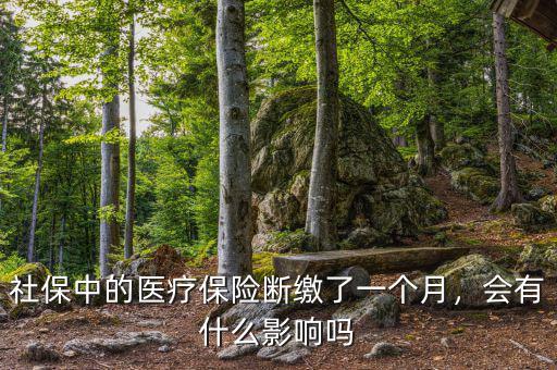 社保中的醫(yī)療保險斷繳了一個月，會有什么影響嗎