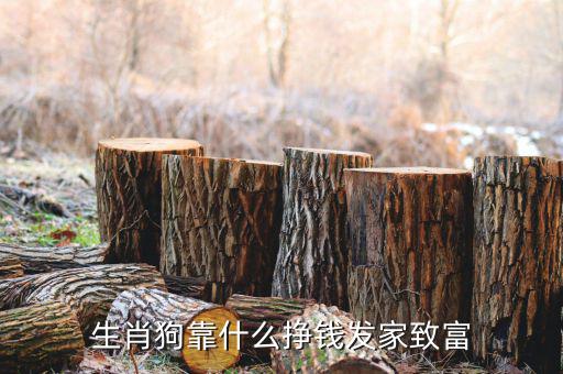 財(cái)富增值全靠它是什么生肖,哪個生肖最會積累財(cái)富