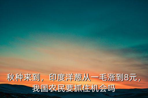 秋種來到，印度洋蔥從一毛漲到8元，我國農(nóng)民要抓住機(jī)會嗎