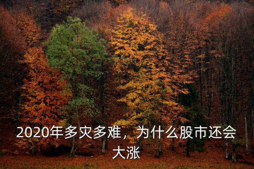 2020年多災(zāi)多難，為什么股市還會大漲