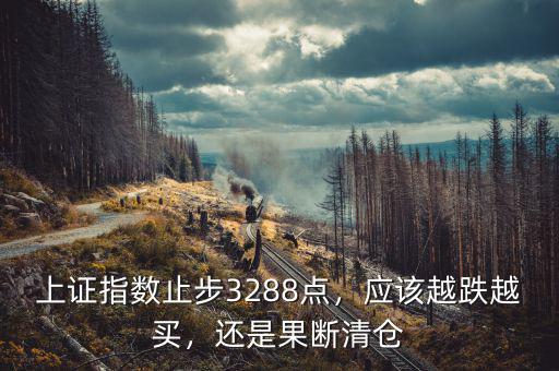 上證指數(shù)止步3288點(diǎn)，應(yīng)該越跌越買，還是果斷清倉