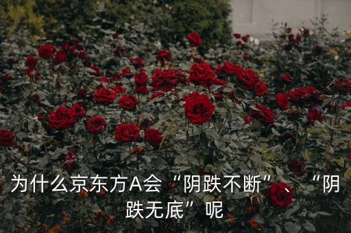 京東方a為什么股價(jià)這么低,為什么京東方利潤那么高