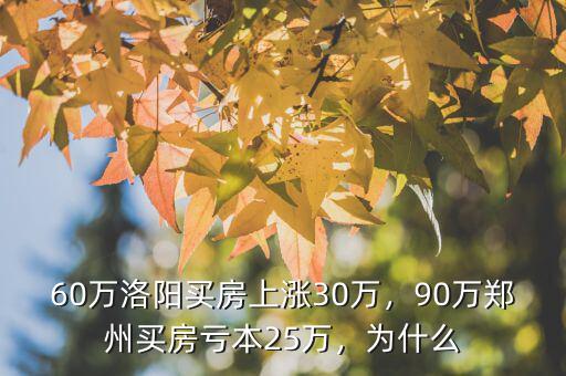 60萬洛陽買房上漲30萬，90萬鄭州買房虧本25萬，為什么