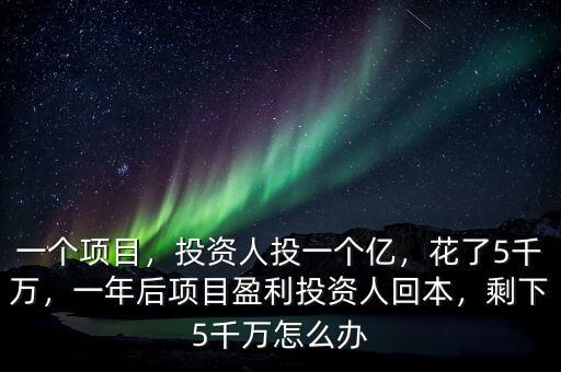 一個(gè)項(xiàng)目，投資人投一個(gè)億，花了5千萬(wàn)，一年后項(xiàng)目盈利投資人回本，剩下5千萬(wàn)怎么辦