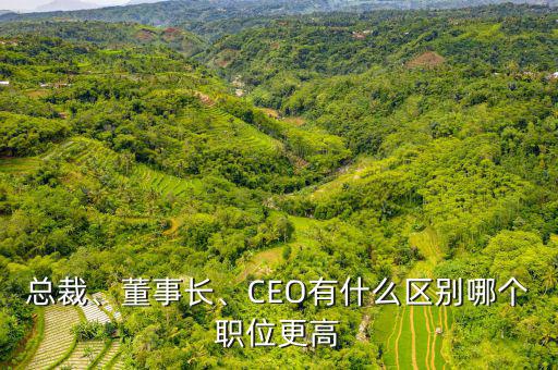 總裁、董事長、CEO有什么區(qū)別哪個職位更高