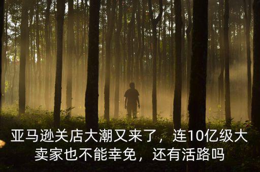 亞馬遜關(guān)店大潮又來了，連10億級大賣家也不能幸免，還有活路嗎