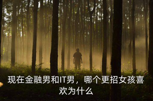 現(xiàn)在金融男和IT男，哪個更招女孩喜歡為什么