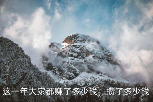 這一年大家都賺了多少錢，攢了多少錢