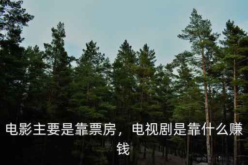 電影主要是靠票房，電視劇是靠什么賺錢